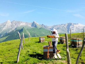 Vue montagne Béost-Laruns